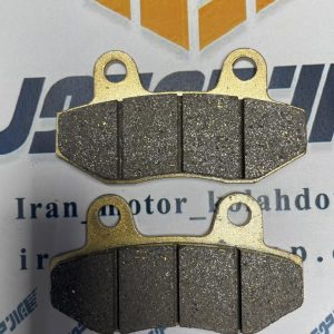 لنت دیسکی بدون شاخک