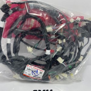 سیم کشی اورجینال adv175 sym هاسکی
