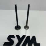 سوپاپ اورجینال adv175 sym هاسکی